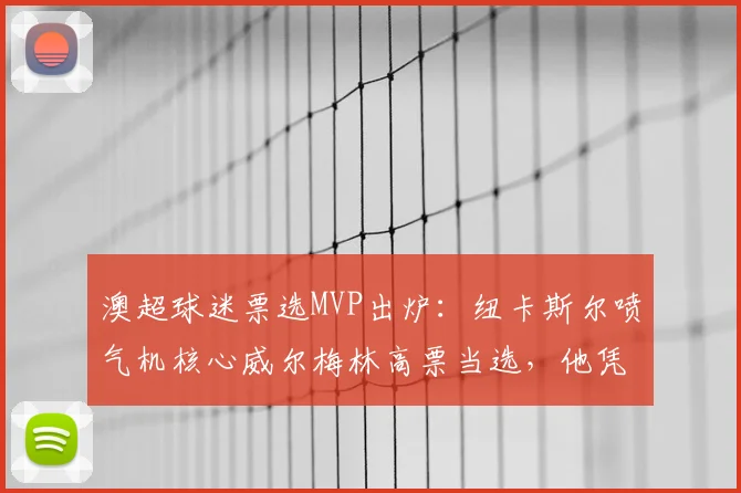 澳超球迷票选MVP出炉：纽卡斯尔喷气机核心威尔梅林高票当选，他凭何折桂？